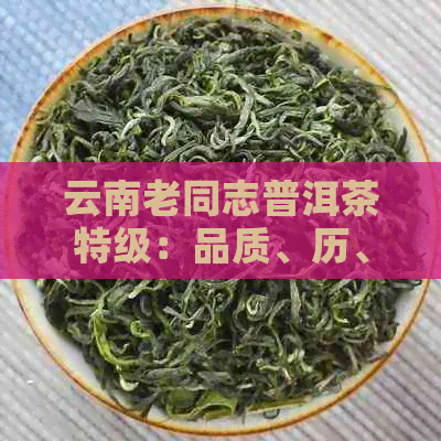 云南老同志普洱茶特级：品质、历、价格与泡法全方位解析