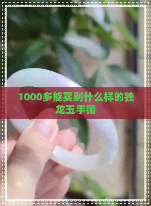 1000多能买到什么样的独龙玉手镯