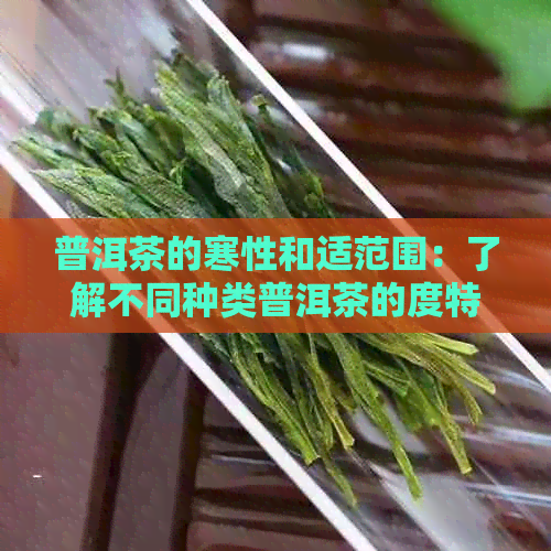 普洱茶的寒性和适范围：了解不同种类普洱茶的度特征及其对身体的影响