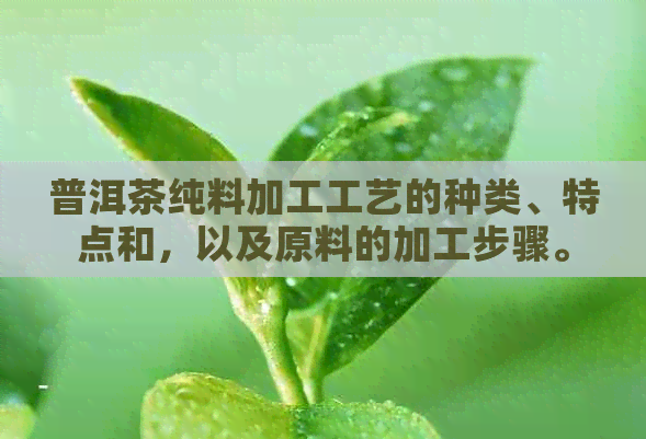 普洱茶纯料加工工艺的种类、特点和，以及原料的加工步骤。