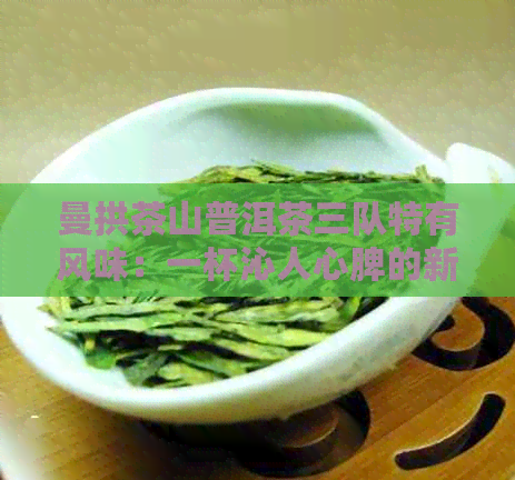 曼拱茶山普洱茶三队特有风味：一杯沁人心脾的新体验