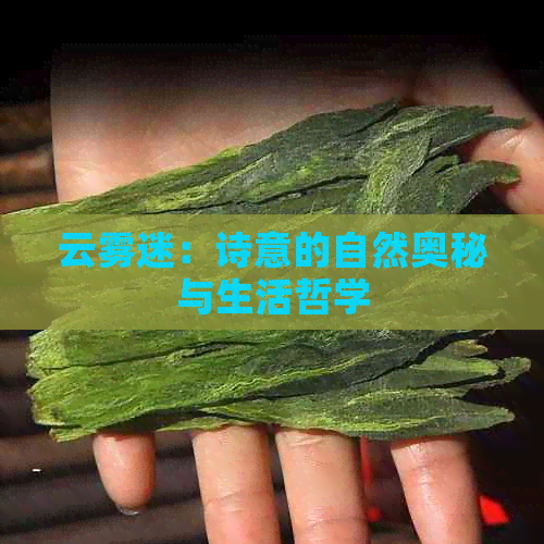 云雾迷：诗意的自然奥秘与生活哲学