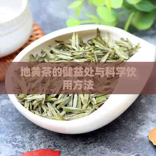 地黄茶的健益处与科学饮用方法