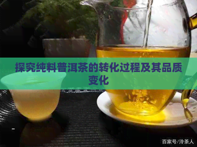 探究纯料普洱茶的转化过程及其品质变化