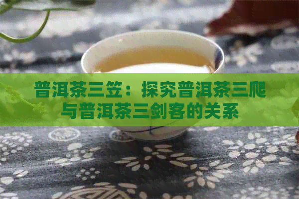 普洱茶三笠：探究普洱茶三爬与普洱茶三剑客的关系