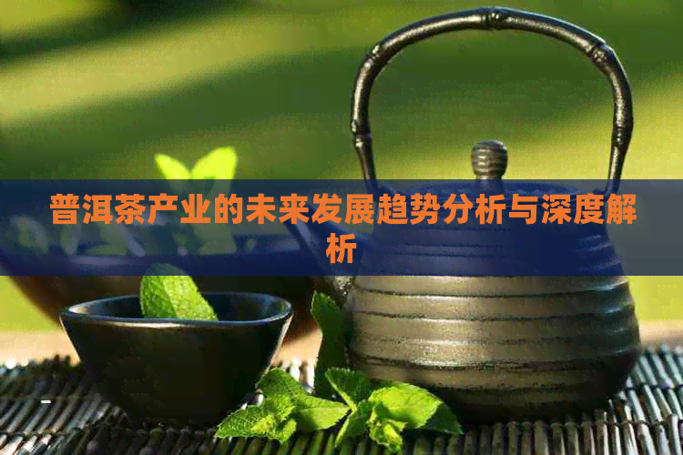 普洱茶产业的未来发展趋势分析与深度解析