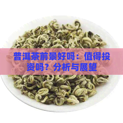 普洱茶前景好吗：值得投资吗？分析与展望