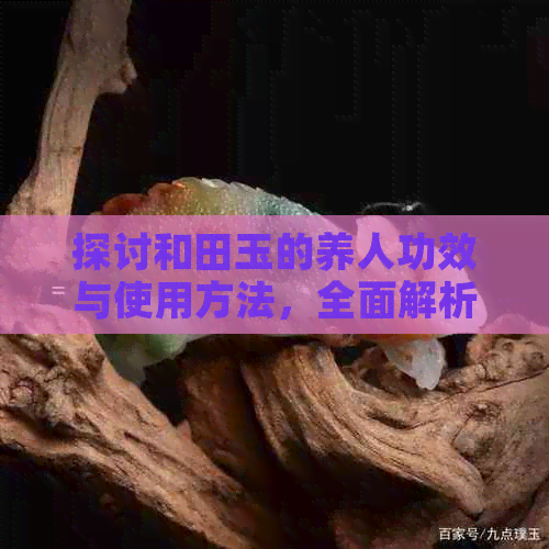 探讨和田玉的养人功效与使用方法，全面解析如何发挥和田玉的更大价值