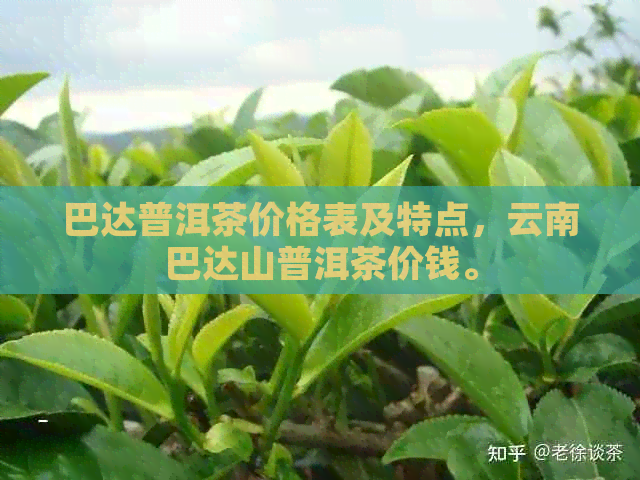 巴达普洱茶价格表及特点，云南巴达山普洱茶价钱。