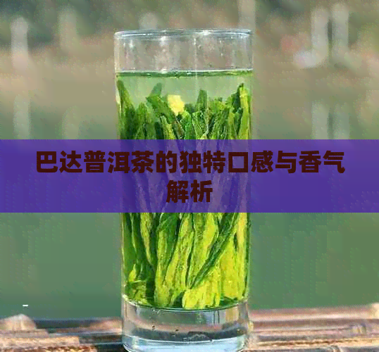 巴达普洱茶的独特口感与香气解析