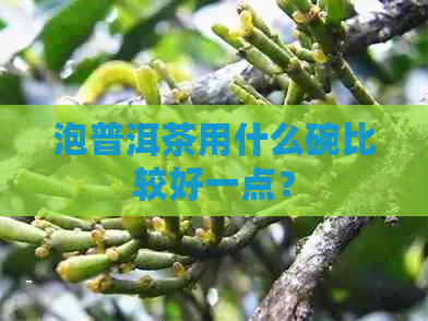 泡普洱茶用什么碗比较好一点？