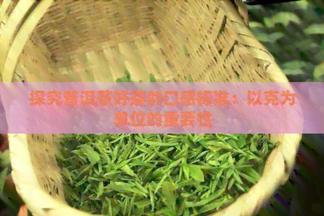 探究普洱茶好茶的口感标准：以克为单位的重要性