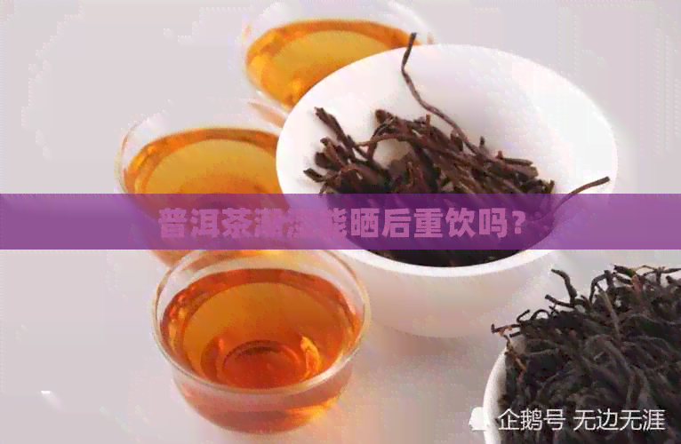 普洱茶潮湿能晒后重饮吗？