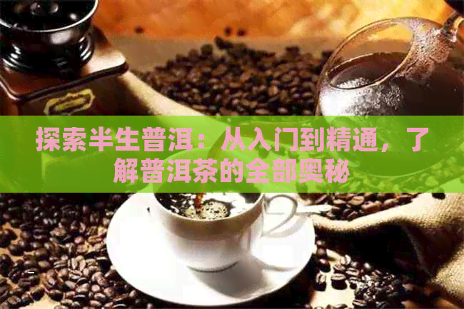 探索半生普洱：从入门到精通，了解普洱茶的全部奥秘