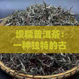 坝糯普洱茶：一种独特的古树茶品，品味其独特风味与价值