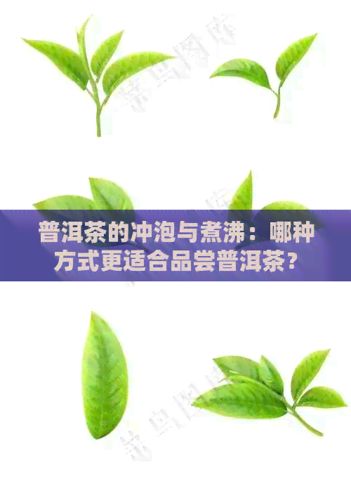 普洱茶的冲泡与煮沸：哪种方式更适合品尝普洱茶？