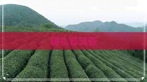 国礼普洱茶