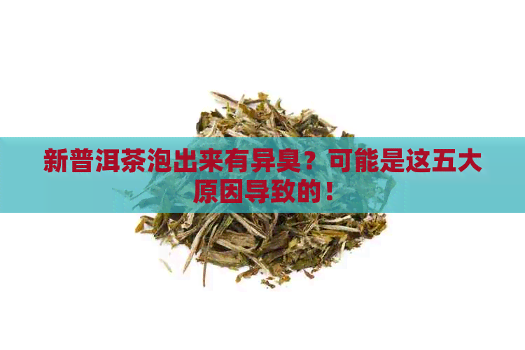 新普洱茶泡出来有异臭？可能是这五大原因导致的！