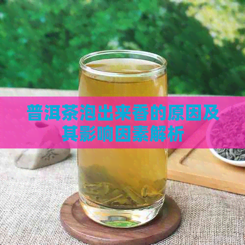 普洱茶泡出来香的原因及其影响因素解析