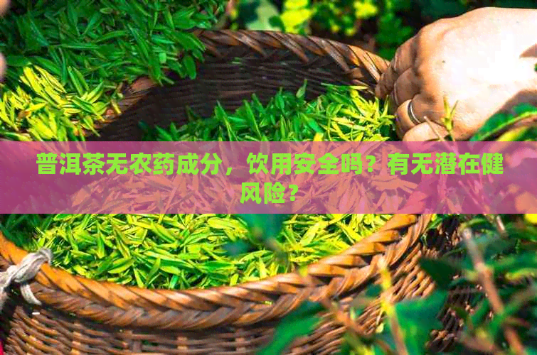 普洱茶无农药成分，饮用安全吗？有无潜在健风险？