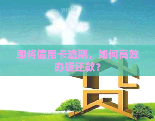 即将信用卡逾期，如何高效办理还款？