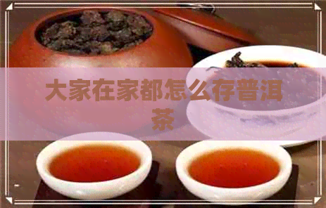 大家在家都怎么存普洱茶