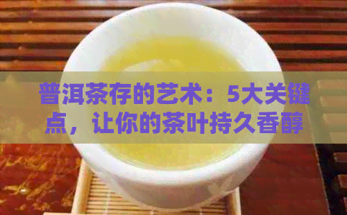 普洱茶存的艺术：5大关键点，让你的茶叶持久香醇