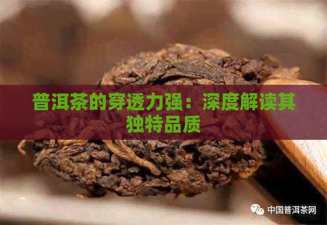 普洱茶的穿透力强：深度解读其独特品质