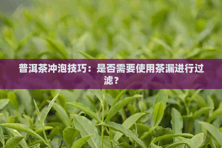 普洱茶冲泡技巧：是否需要使用茶漏进行过滤？