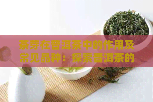 茶芽在普洱茶中的作用及常见品种：探索普洱茶的世界