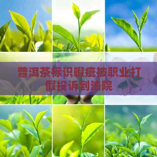 普洱茶标识暇疵被职业打假投诉到法院