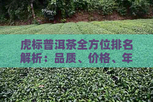 虎标普洱茶全方位排名解析：品质、价格、年份等多方面对比，助你轻松选好茶