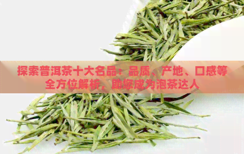 探索普洱茶十大名品：品质、产地、口感等全方位解析，助您成为泡茶达人