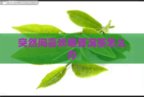 突然间喜欢喝普洱茶怎么办