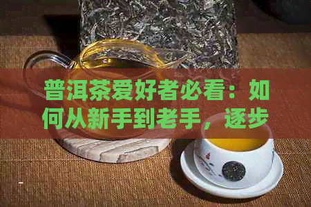 普洱茶爱好者必看：如何从新手到老手，逐步提升品饮体验