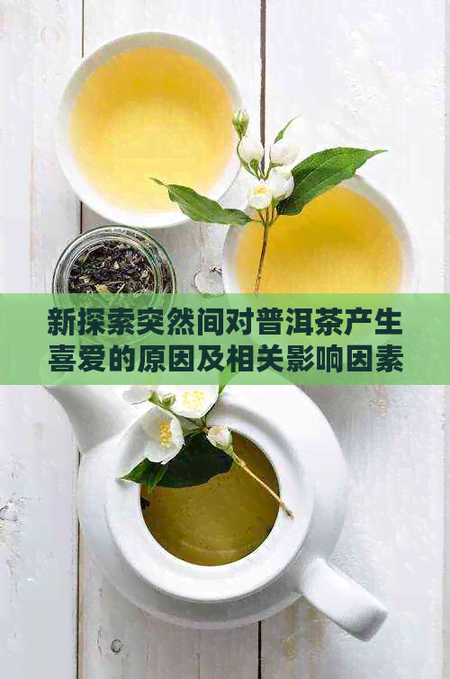 新探索突然间对普洱茶产生喜爱的原因及相关影响因素