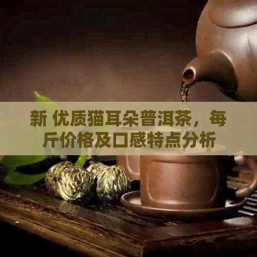 新 优质猫耳朵普洱茶，每斤价格及口感特点分析