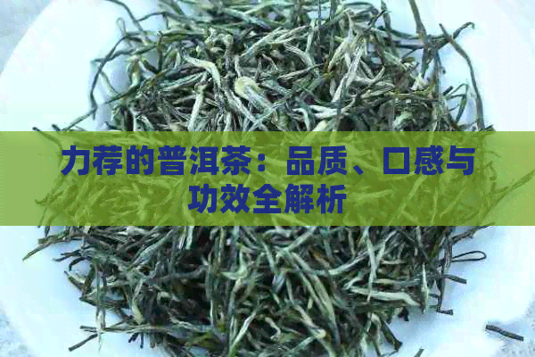 力荐的普洱茶：品质、口感与功效全解析