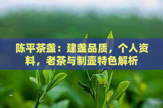 陈平茶盏：建盏品质，个人资料，老茶与制壶特色解析