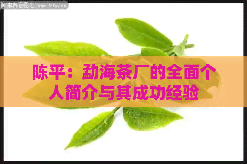 陈平：勐海茶厂的全面个人简介与其成功经验