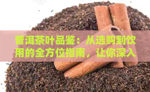 普洱茶叶品鉴：从选购到饮用的全方位指南，让你深入了解普洱茶的魅力与功效