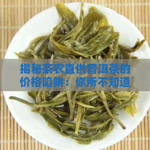 揭秘茶农直供普洱茶的价格陷阱：你所不知道的真相