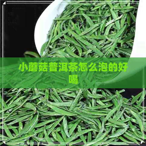 小蘑菇普洱茶怎么泡的好喝