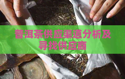 普洱茶供应渠道分析及寻找供应商