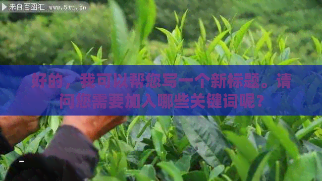 好的，我可以帮您写一个新标题。请问您需要加入哪些关键词呢？