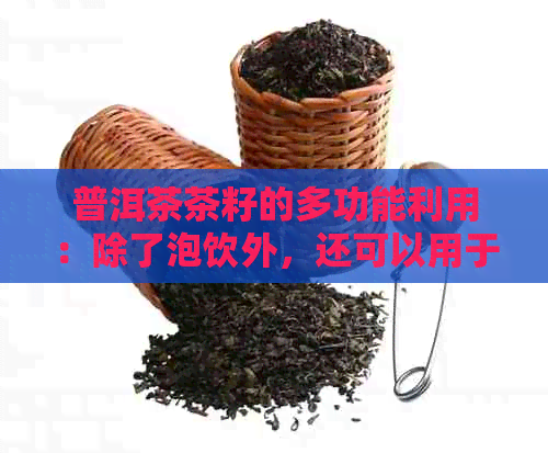 普洱茶茶籽的多功能利用：除了泡饮外，还可以用于烹饪和护肤