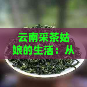 云南采茶姑娘的生活：从茶叶采摘到市场销售的全过程揭秘