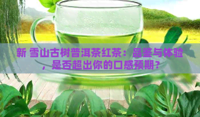 新 雪山古树普洱茶红茶：品鉴与体验，是否超出你的口感预期？