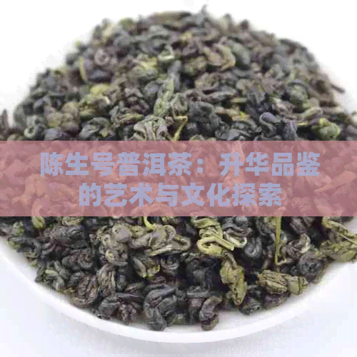 陈生号普洱茶：升华品鉴的艺术与文化探索