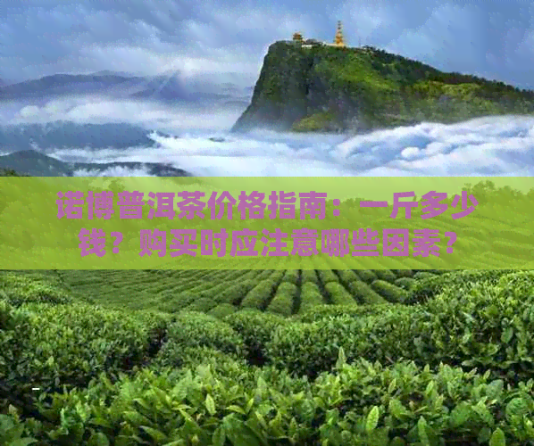 诺博普洱茶价格指南：一斤多少钱？购买时应注意哪些因素？